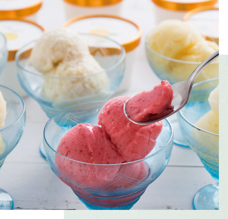 果実たっぷりシャーベット