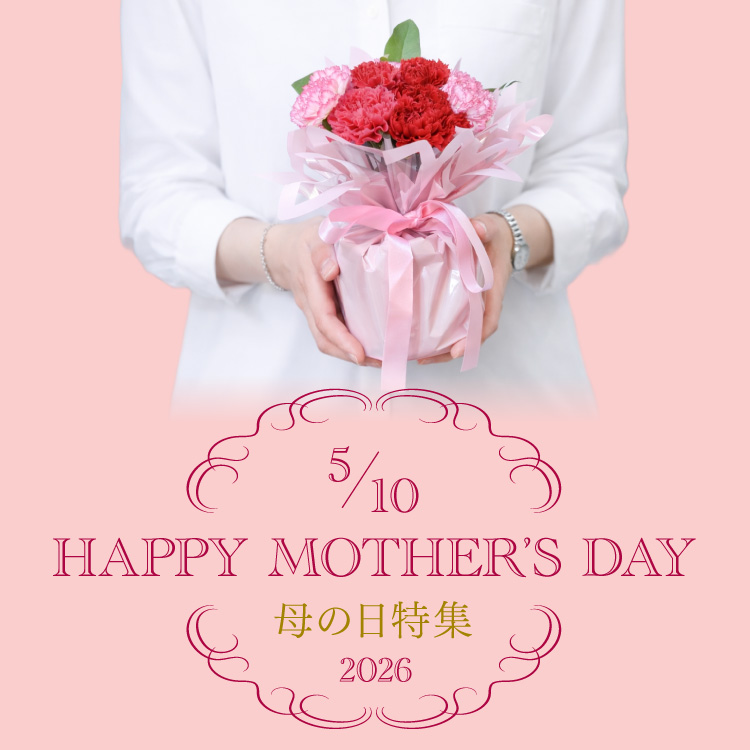 index_bnr_mothersdayday2026_sp.jpg