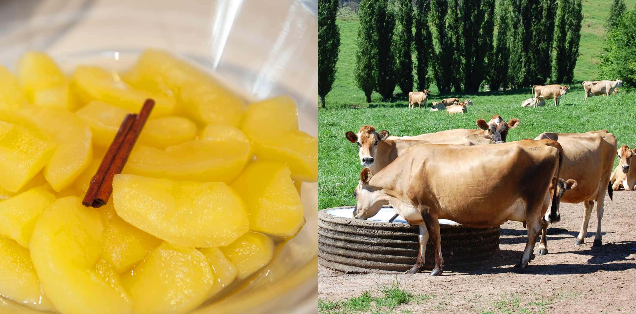 こだわりの逸品