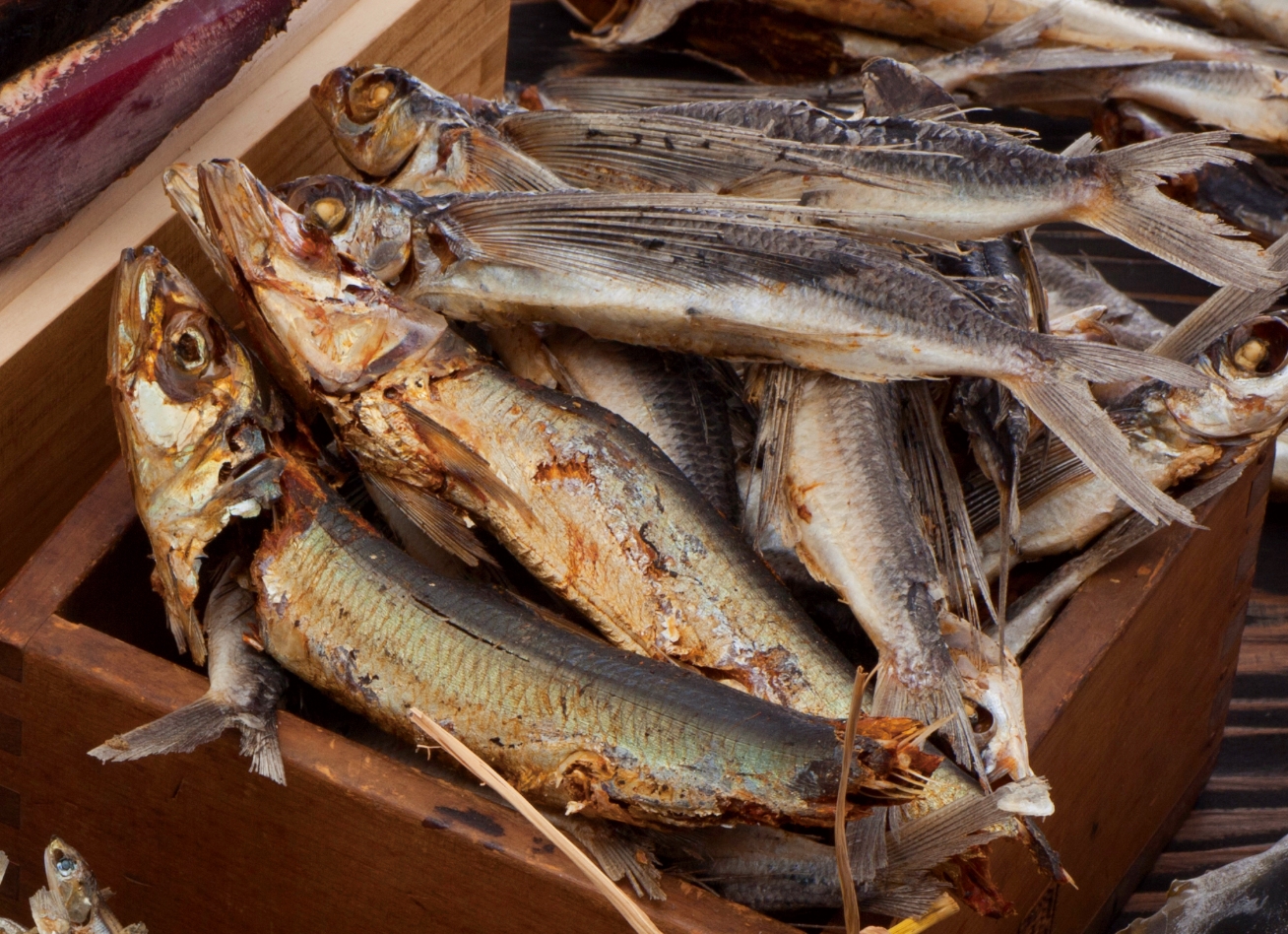 熊本県産のあごの煮干し