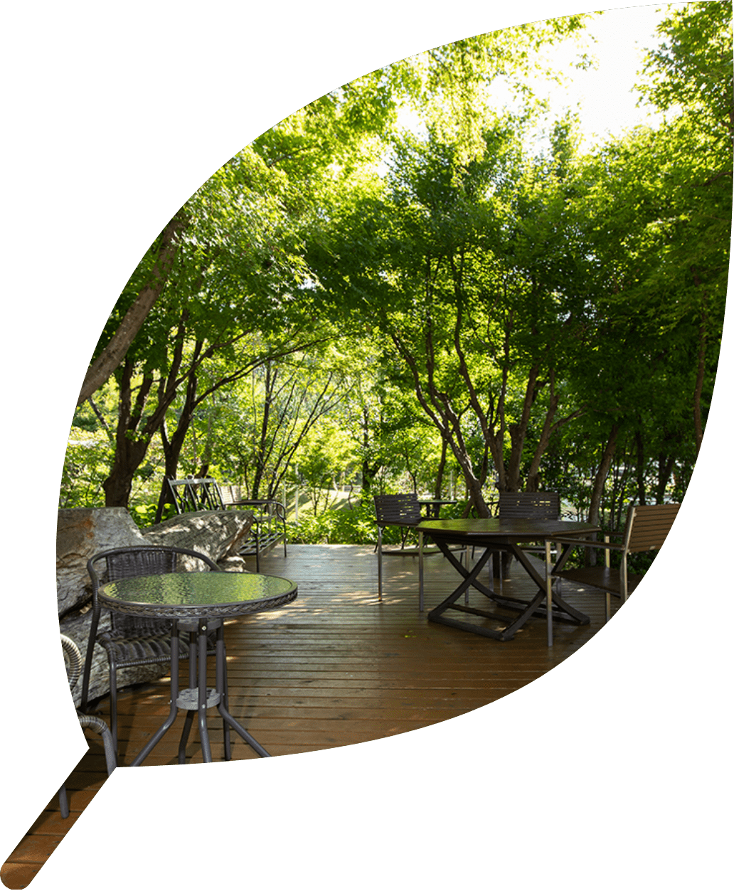 恵那銀の森園内画像